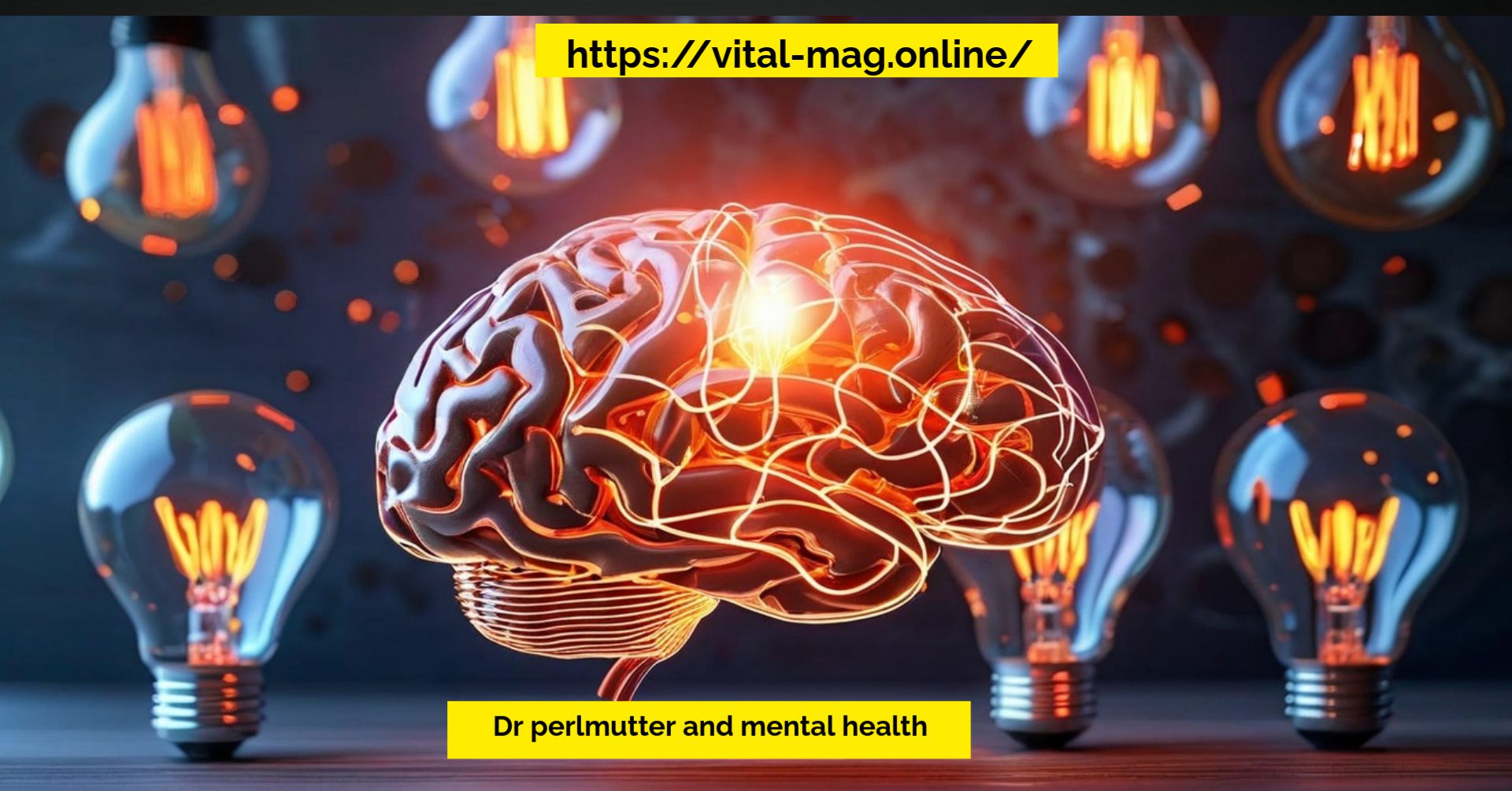 Dr perlmutter and mental health